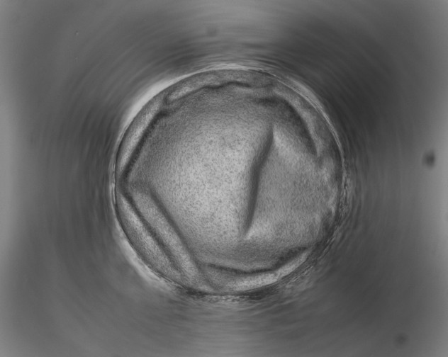 X0000115580811200912011437