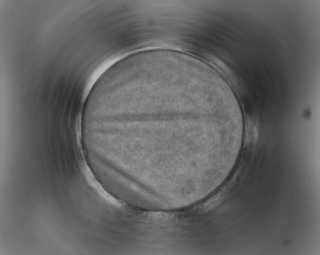 X0000115580812200912011437