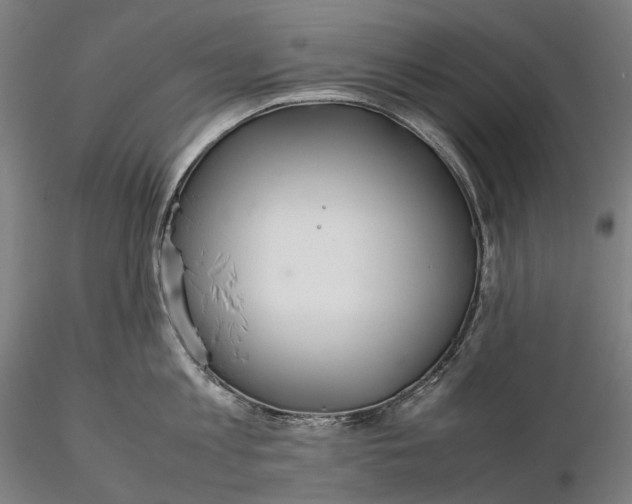 X0000115580813200912011437