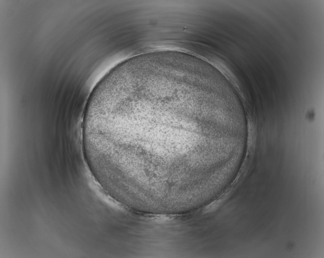 X0000115580814200912011437