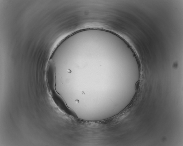 X0000115580815200912011437