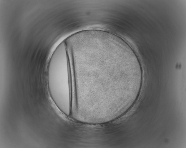 X0000115580816200912011437