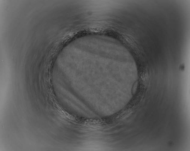 X0000115580817200912011436