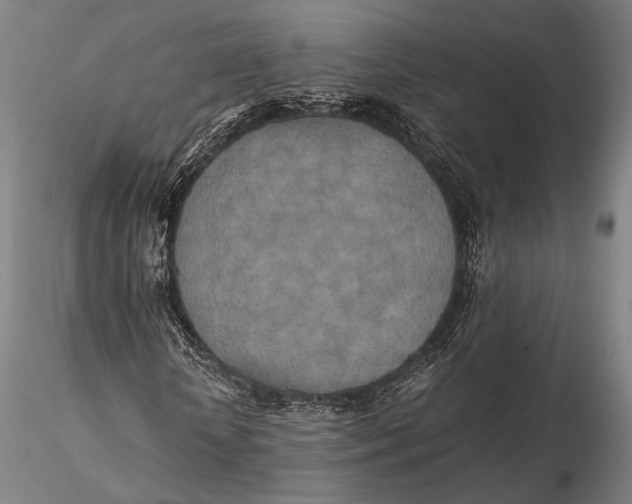 X0000115580818200912011436