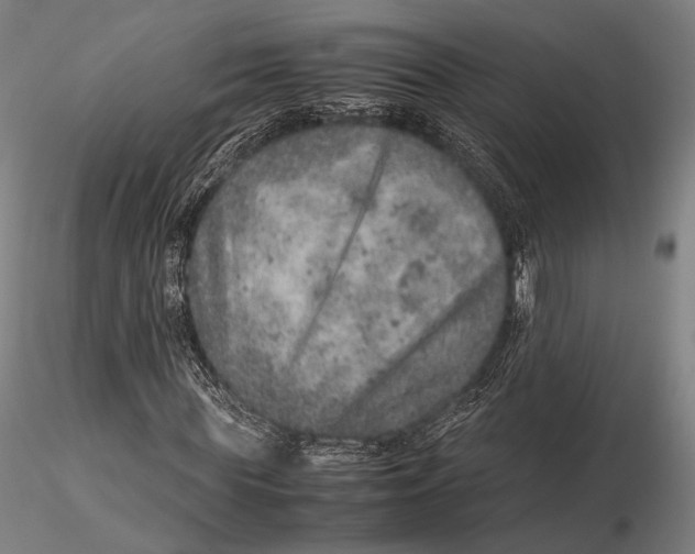 X0000115580819200912011436