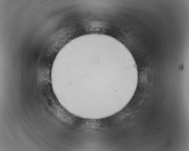 X0000115580820200912011436