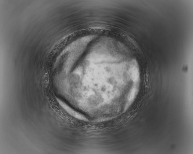 X0000115580821200912011437