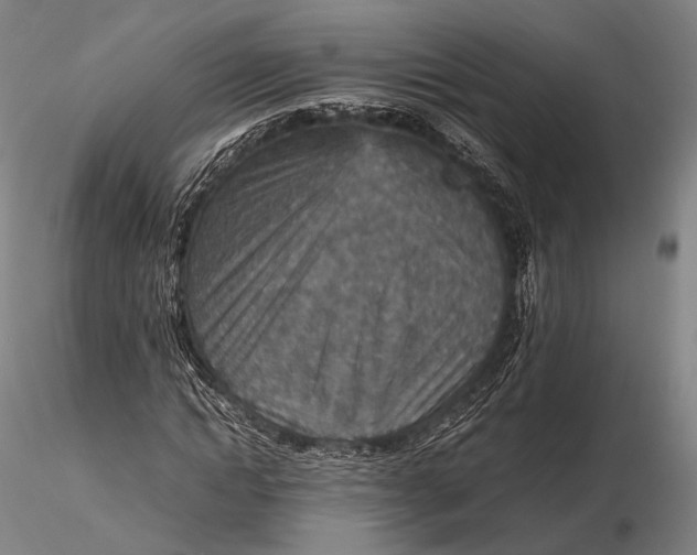 X0000115580822200912011437