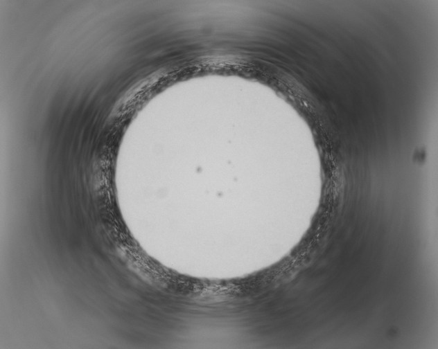 X0000115580824200912011437