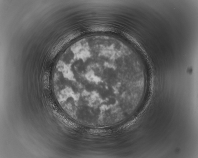 X0000115580825200912011437