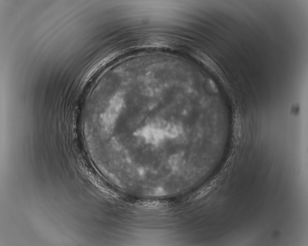 X0000115580826200912011437