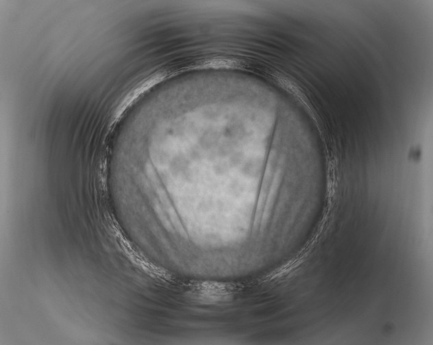 X0000115580827200912011437