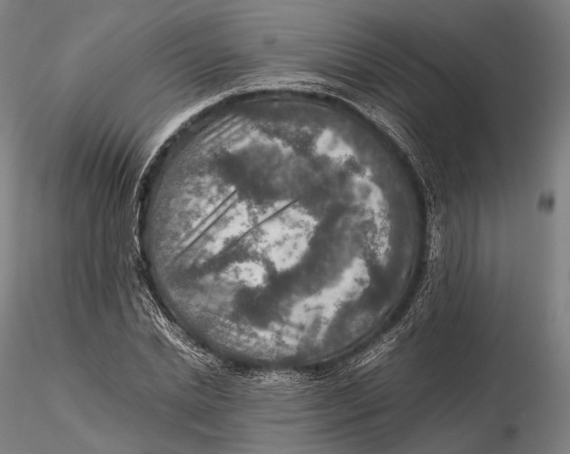 X0000115580830200912011437