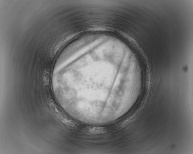 X0000115580833200912011437