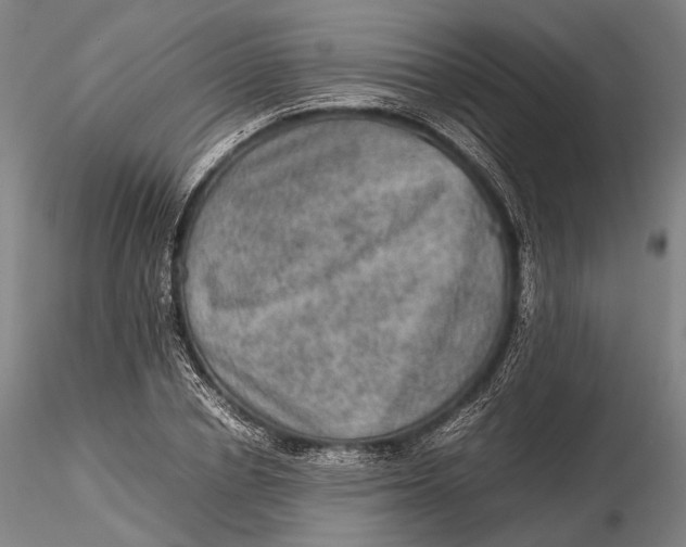 X0000115580834200912011437