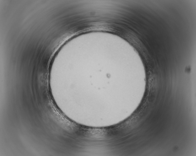 X0000115580836200912011437