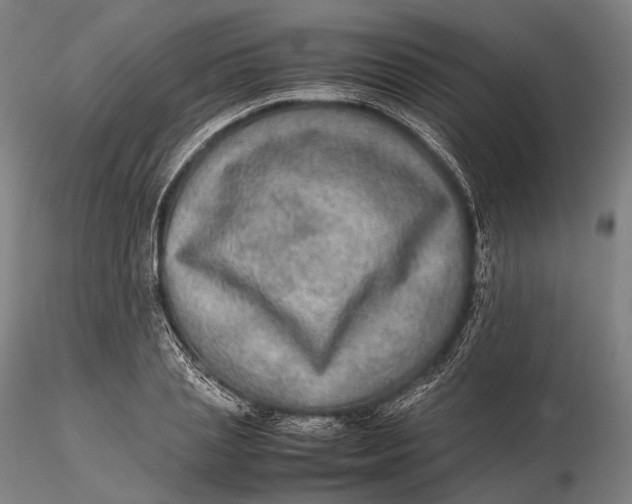 X0000115580837200912011437