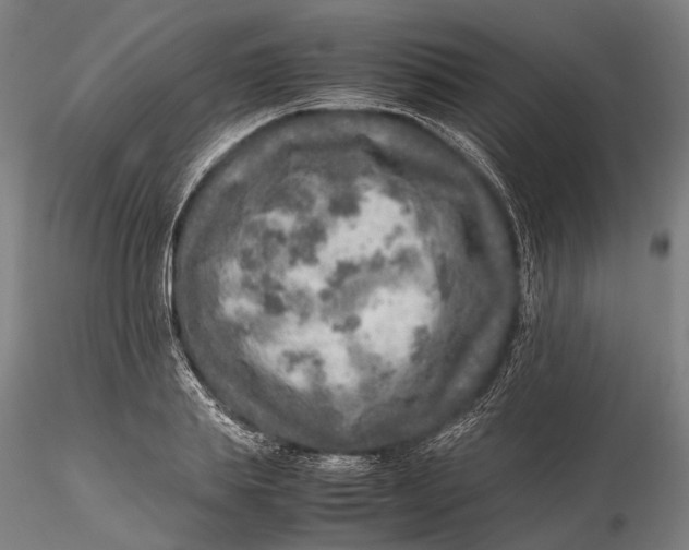 X0000115580839200912011437