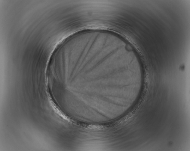 X0000115580840200912011437