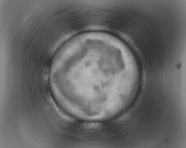 X0000115580841200912011437