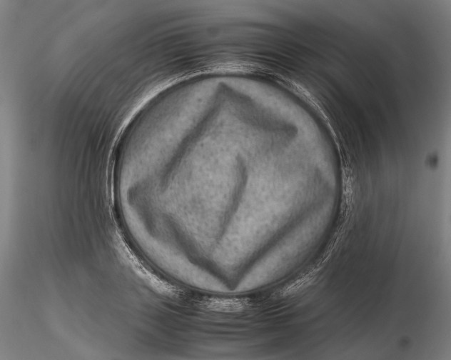 X0000115580843200912011437