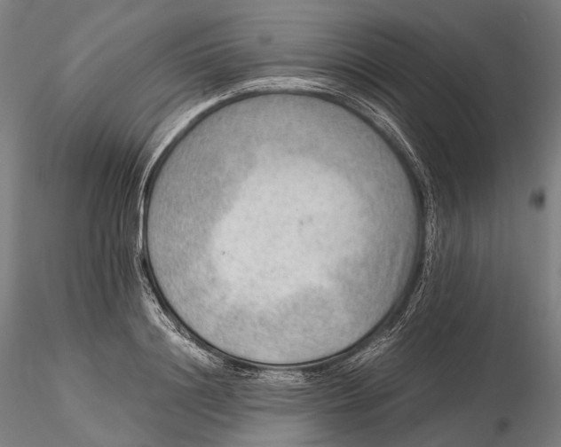 X0000115580844200912011437