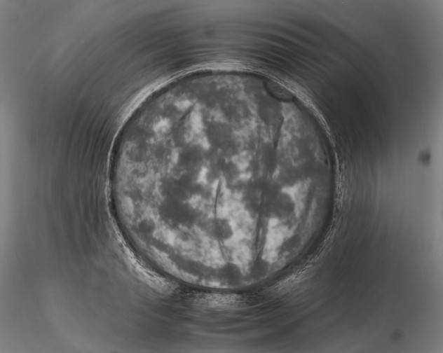 X0000115580845200912011437