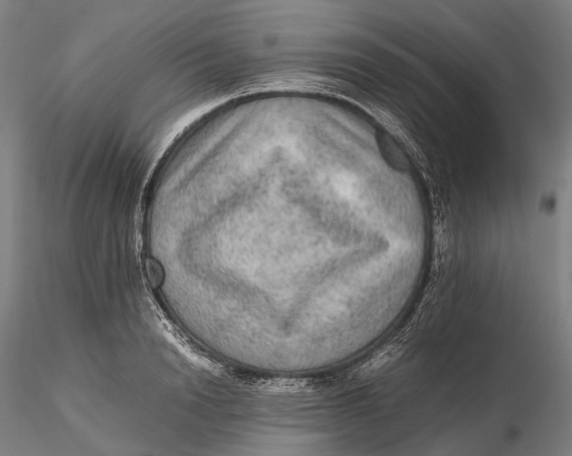 X0000115580846200912011437