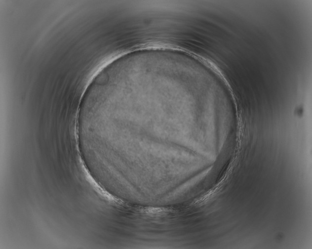 X0000115580847200912011437