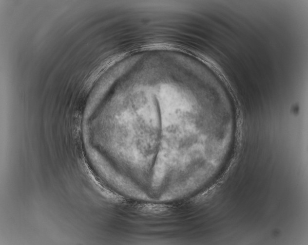 X0000115580849200912011437