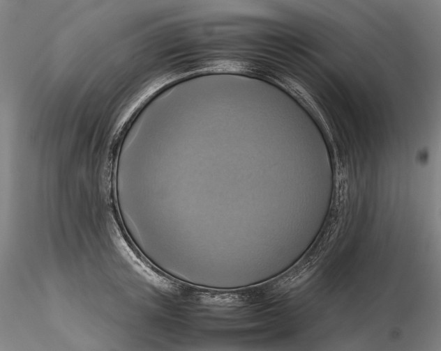 X0000115580851200912011437