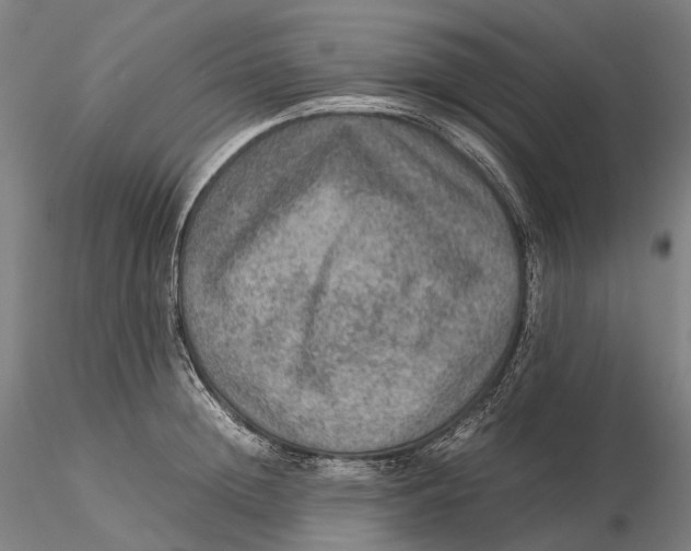 X0000115580852200912011437