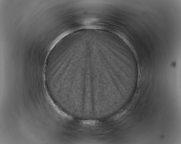 X0000115580853200912011437