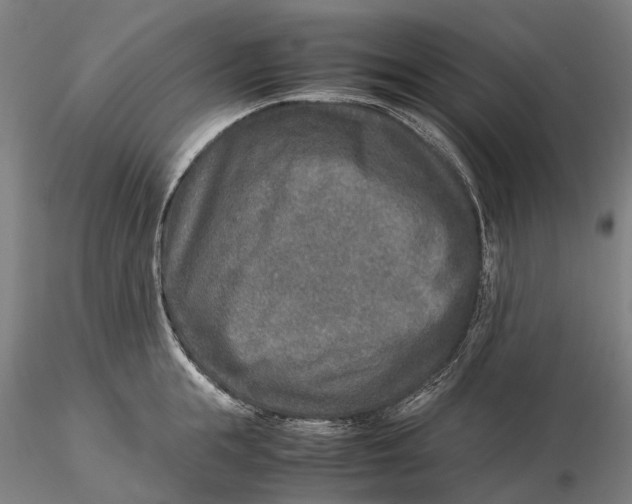 X0000115580855200912011437