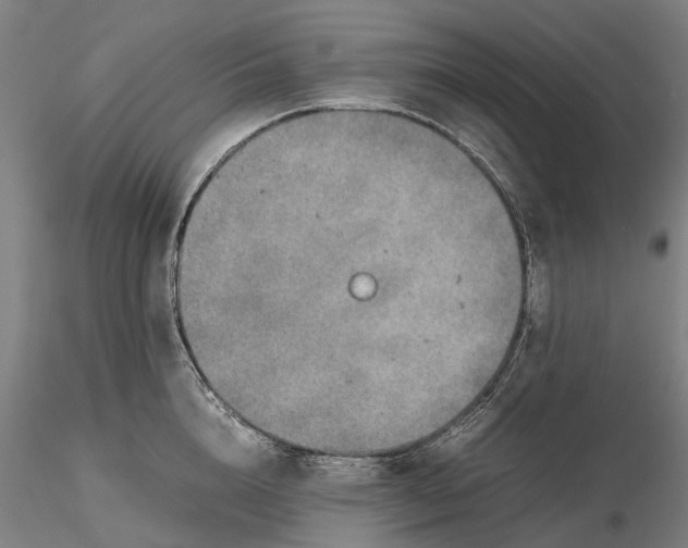 X0000115580856200912011437