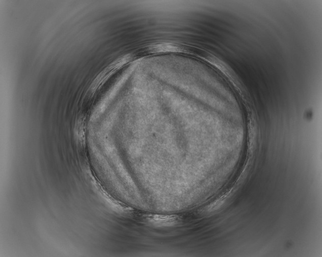 X0000115580857200912011437