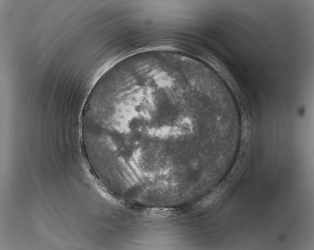 X0000115580858200912011437