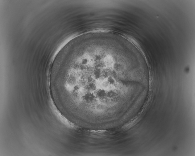 X0000115580859200912011437