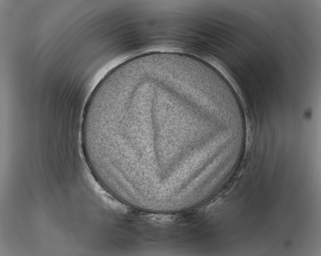 X0000115580861200912011437