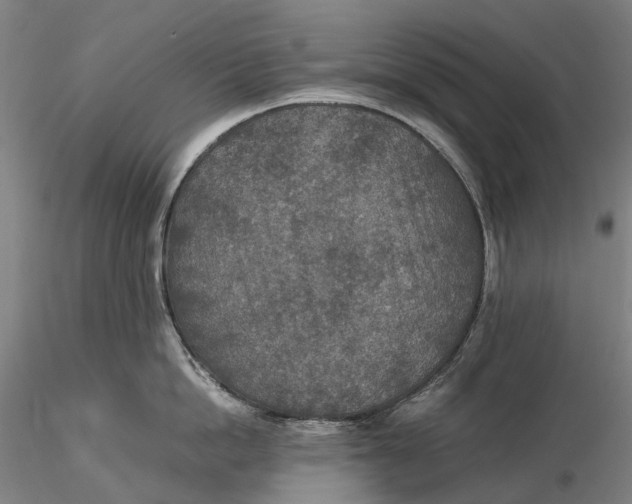 X0000115580862200912011437