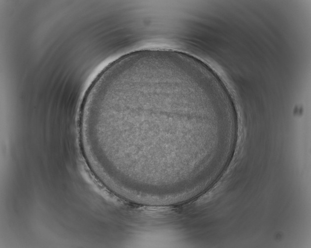 X0000115580864200912011437