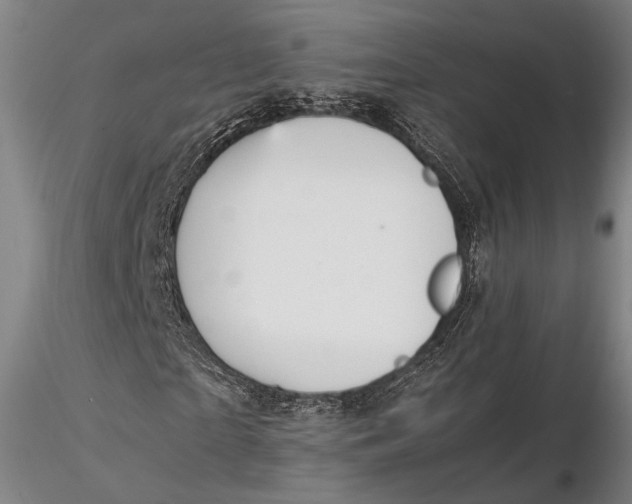 X0000115580865200912011436