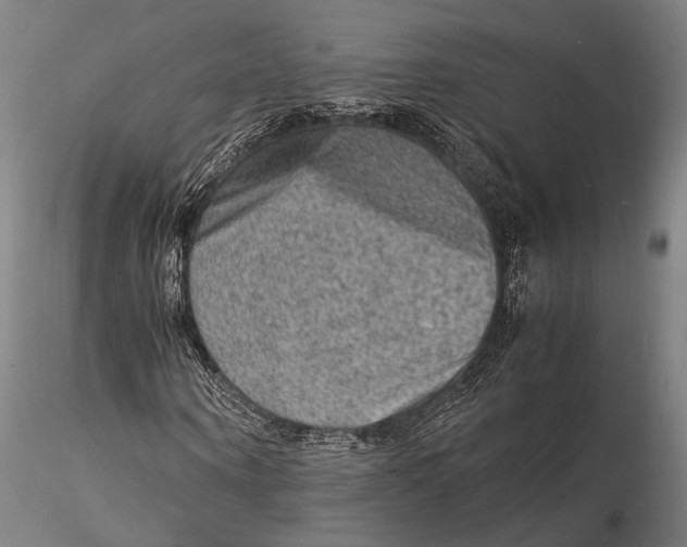 X0000115580866200912011436