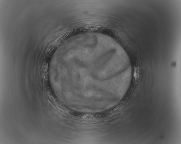 X0000115580867200912011436