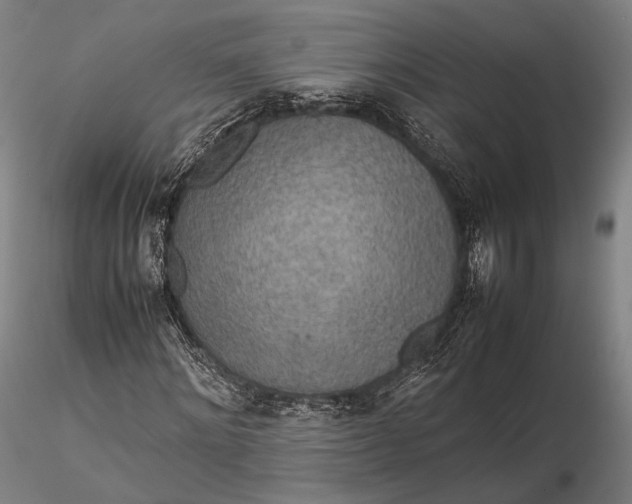 X0000115580868200912011436