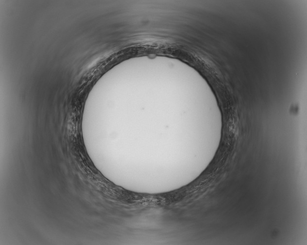 X0000115580869200912011436