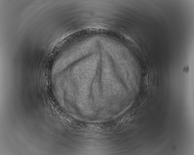 X0000115580870200912011436