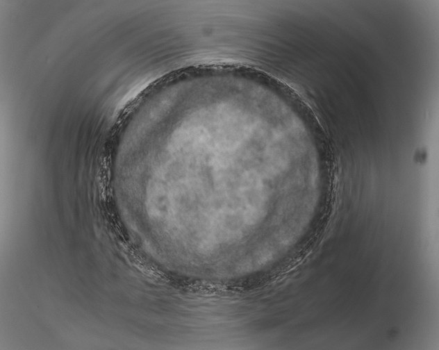 X0000115580871200912011436