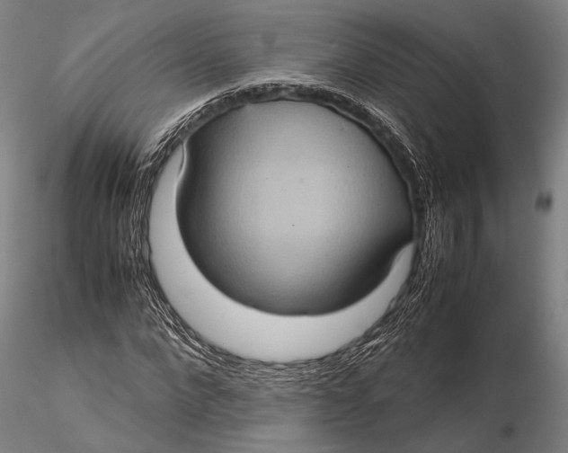 X0000115580872200912011436