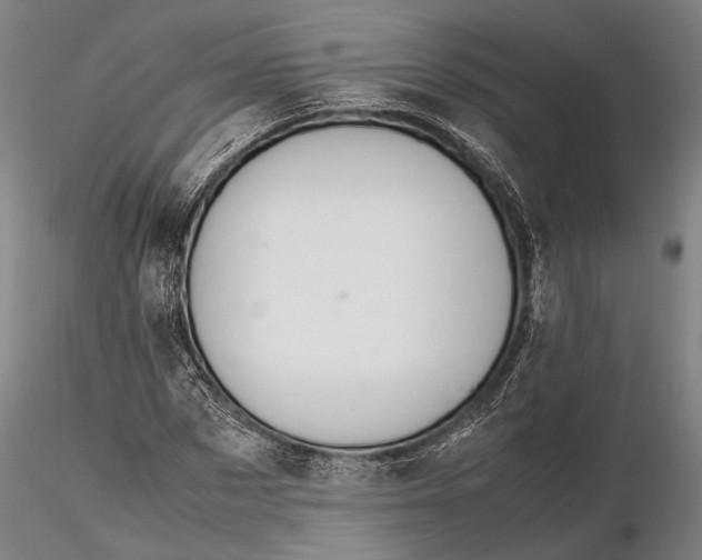 X0000115580873200912011436